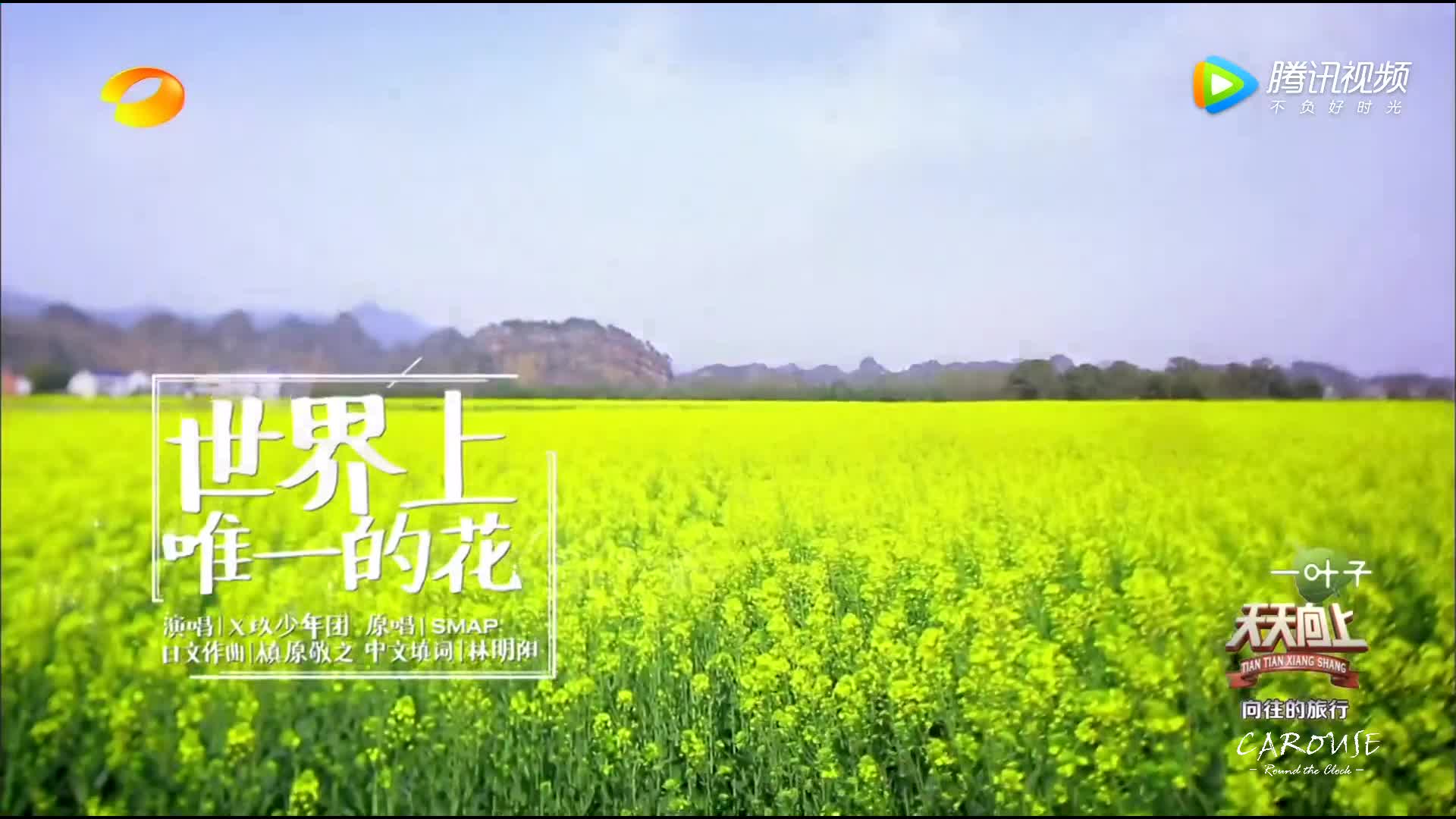 [图]世界上唯一的花户外版【伍谷凡磊嘉cut】