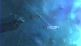 Blood C剧场版更衣小夜x七原文人 哔哩哔哩 つロ干杯 Bilibili