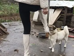 Скачать видео: 穿靴子就是很酷