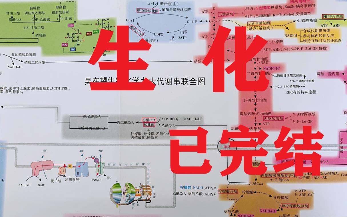 吴在望生化9大代谢图pdf - 资源合集 - 小不点搜索