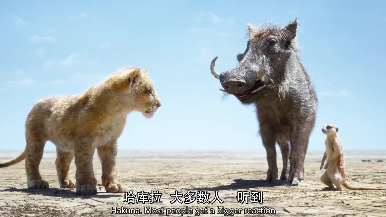 [图]The.Lion.King.丁满和彭彭--哈库纳玛塔塔