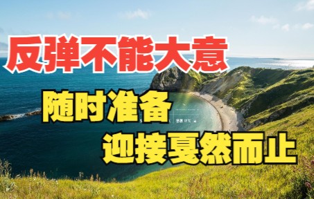 [图]量化技术分析20221013 反弹反而不能大意 随时准备迎接戛然而止