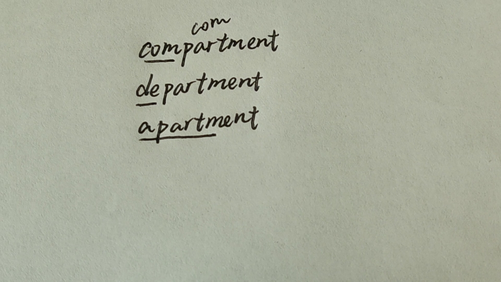 department/apartment/compartment怎么分哔哩哔哩bilibili