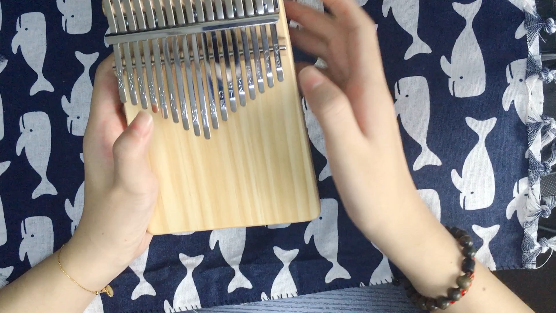 拇指琴 肖战&王一博 无羁