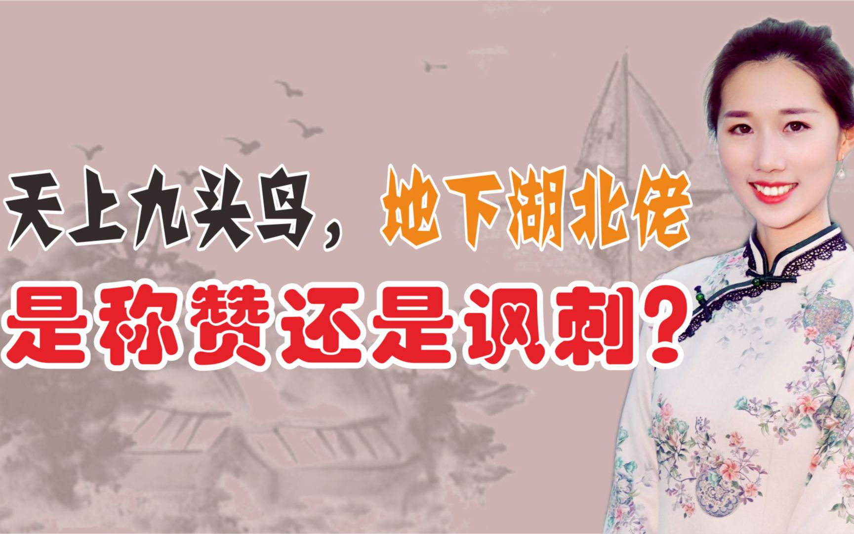 “天上九头鸟,地下湖北佬”到底是什么意思?是称赞还是讽刺?哔哩哔哩bilibili