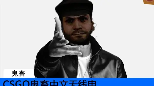 CSGO中文无线电鬼畜..