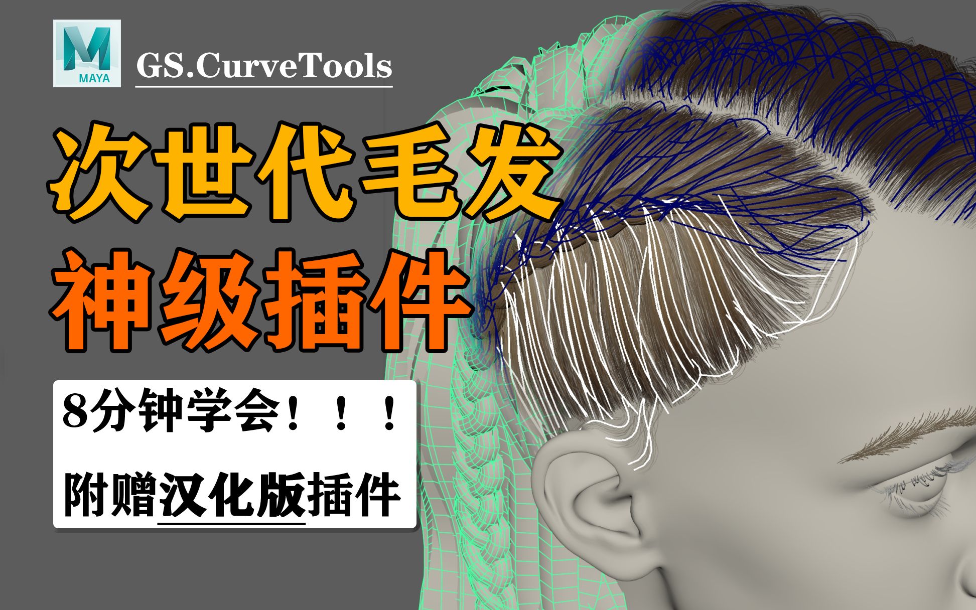 [图]【插片毛发】次世代插片毛发高级插件教程GS CurveTools使用教程！！！附赠汉化版插件