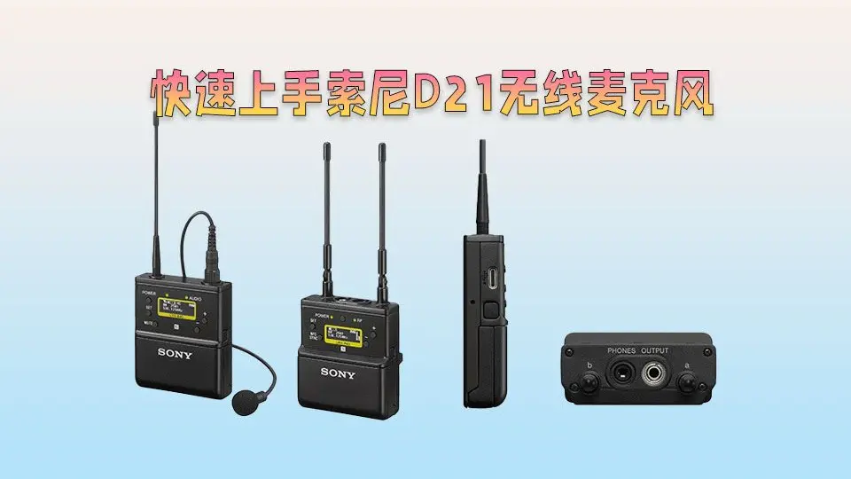 SONY ソニー ワイヤレスマイクロホン パッケージ UWP-D11 【公式通販】