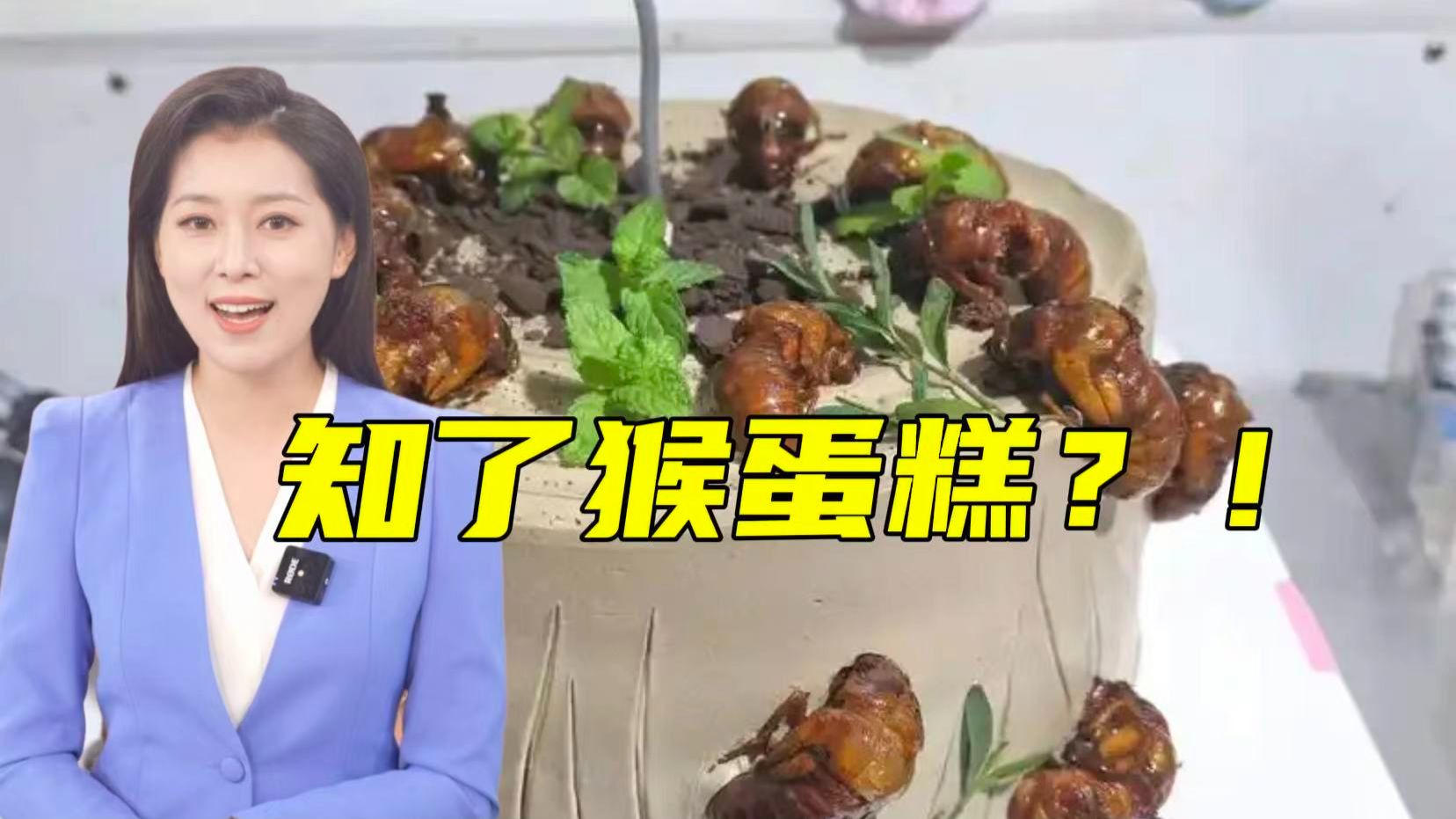山东人疯抢的知了猴 能随便抓吗？一次性讲明白！【主播说三农】