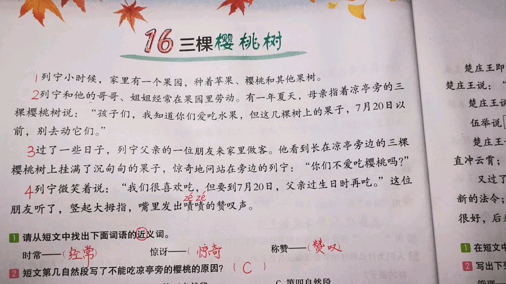 三年级语文阅读理解《三棵樱桃树》,得到启示=懂得道理哔哩哔哩bilibili