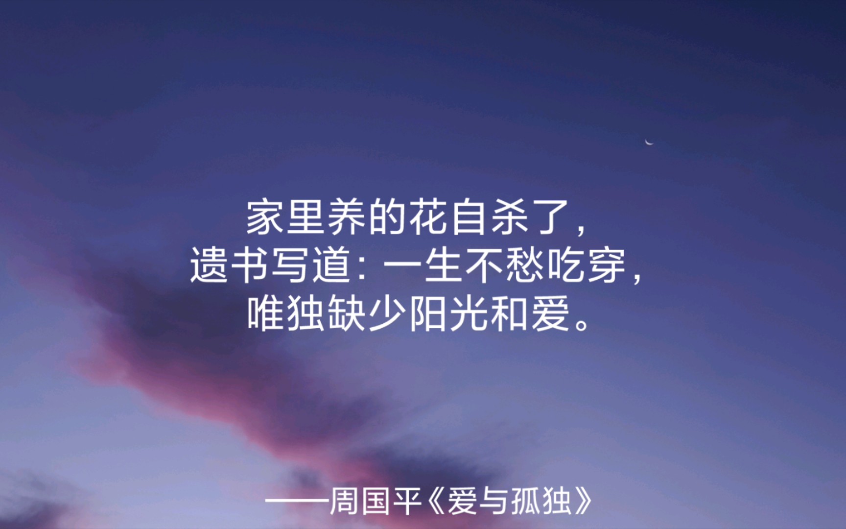 所有的曾经都将成为背景,衬托终将破晓的黎明.哔哩哔哩bilibili