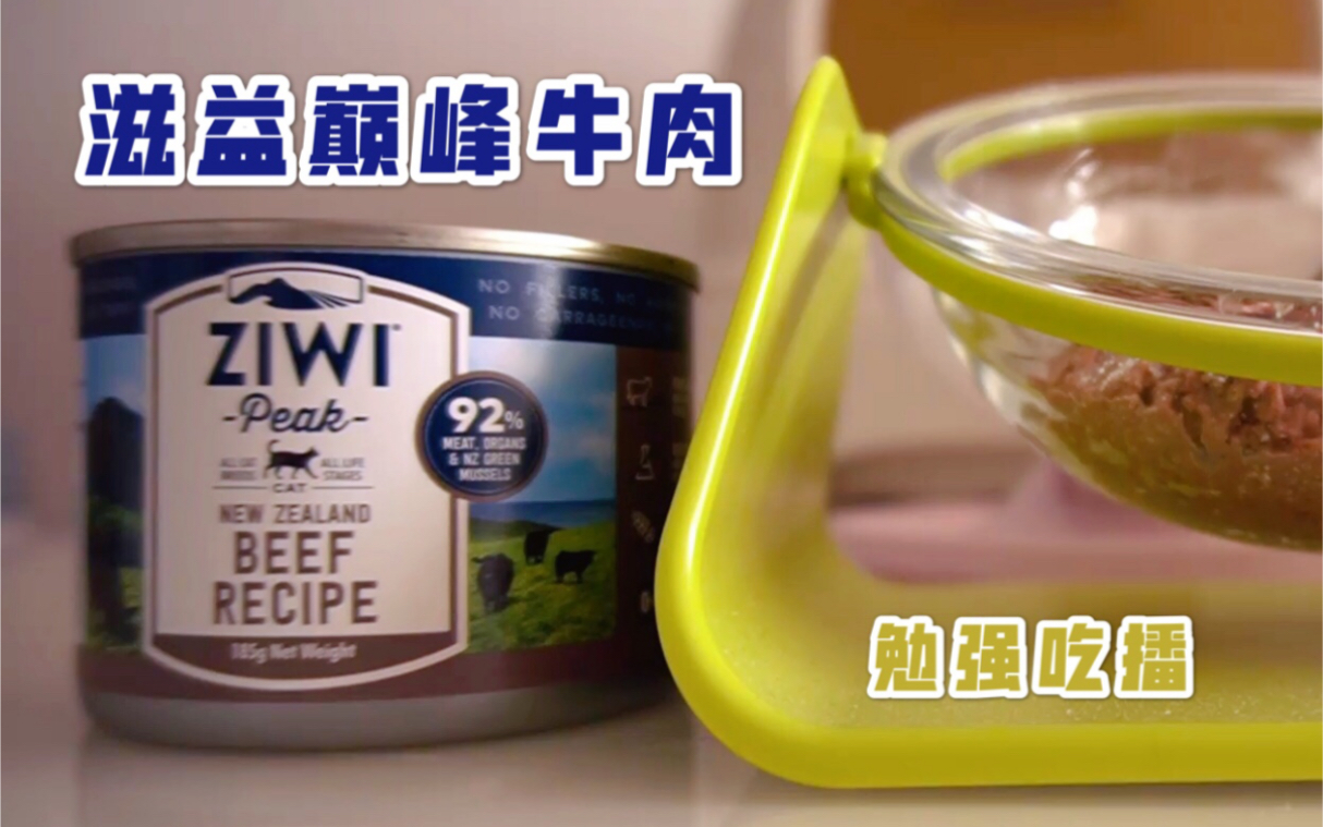 【时不时啵啵喵】吃播频道:ZIWI BEEF RECIPE 新西兰滋益巅峰牛肉主食罐哔哩哔哩bilibili