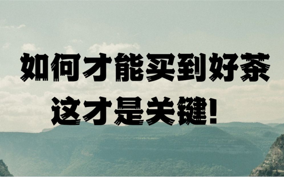 全新系列《如何买茶》怎样买到好茶才是关键!!方法已经分享!记得收藏!哔哩哔哩bilibili