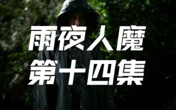 《雨夜狂魔》第十四集,持续更新中哔哩哔哩bilibili