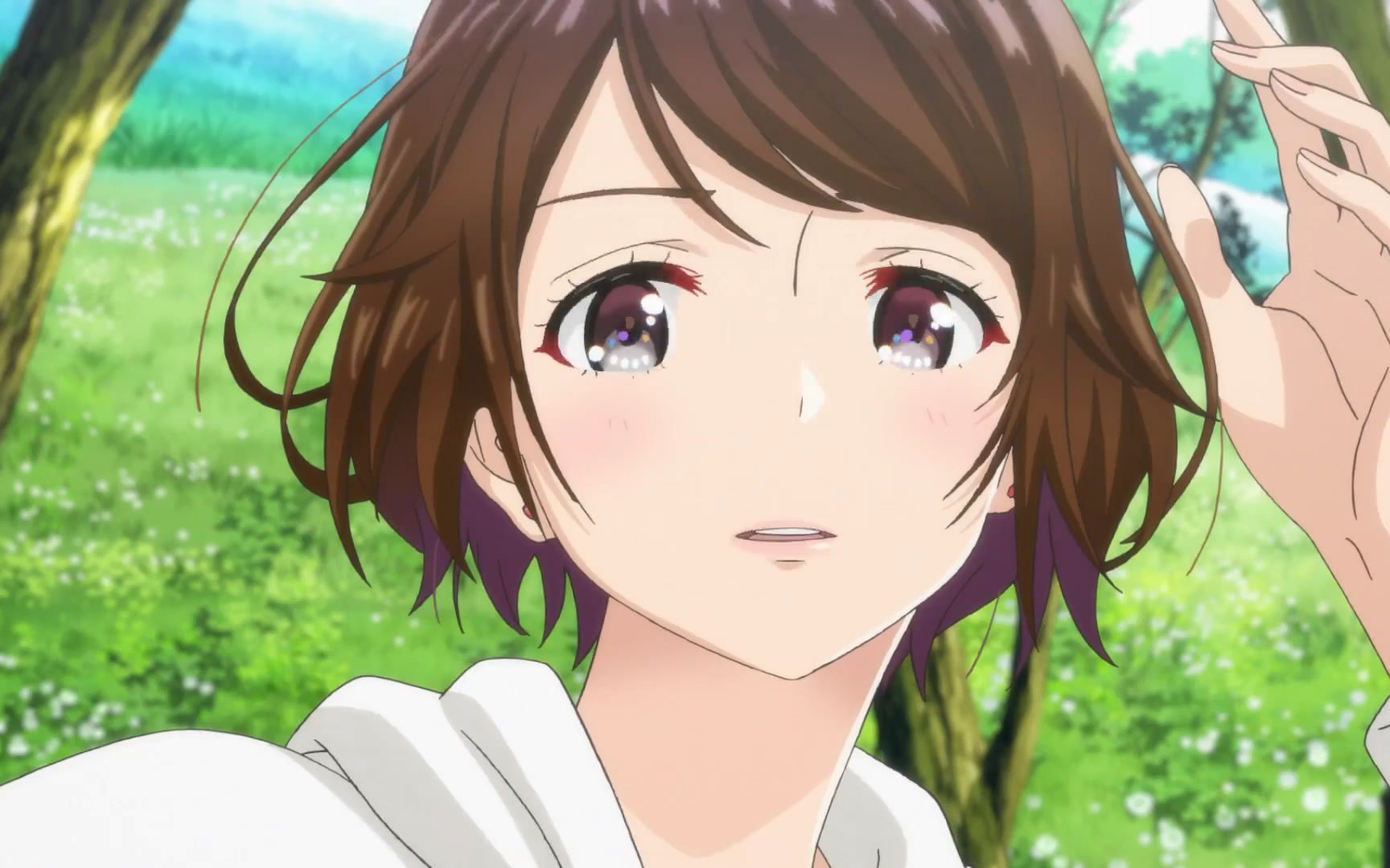 动画cm《猫咪带来的圆滚滚的幸福》01-03【f宅】