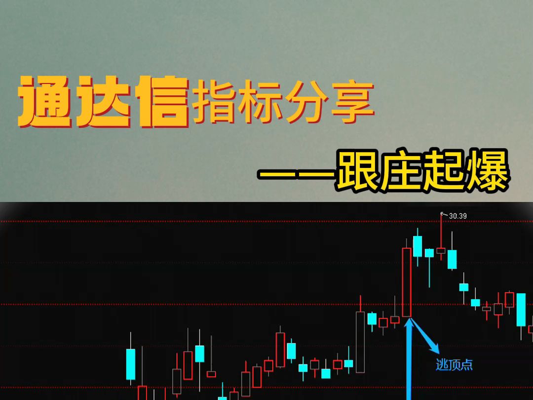 通达信【跟庄起爆】紧跟庄家步伐,吃上每一口大肉哔哩哔哩bilibili