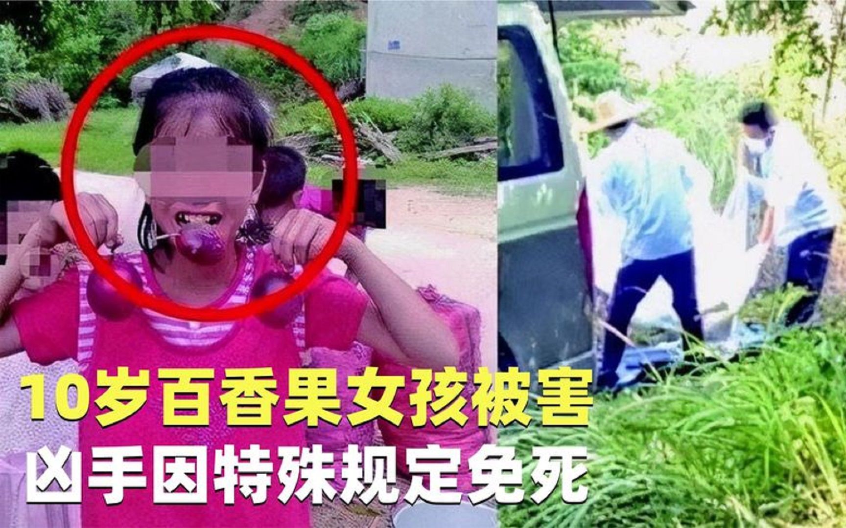 十岁百香果女孩被杀,凶手因特殊规定免死,最高法院出手还公道