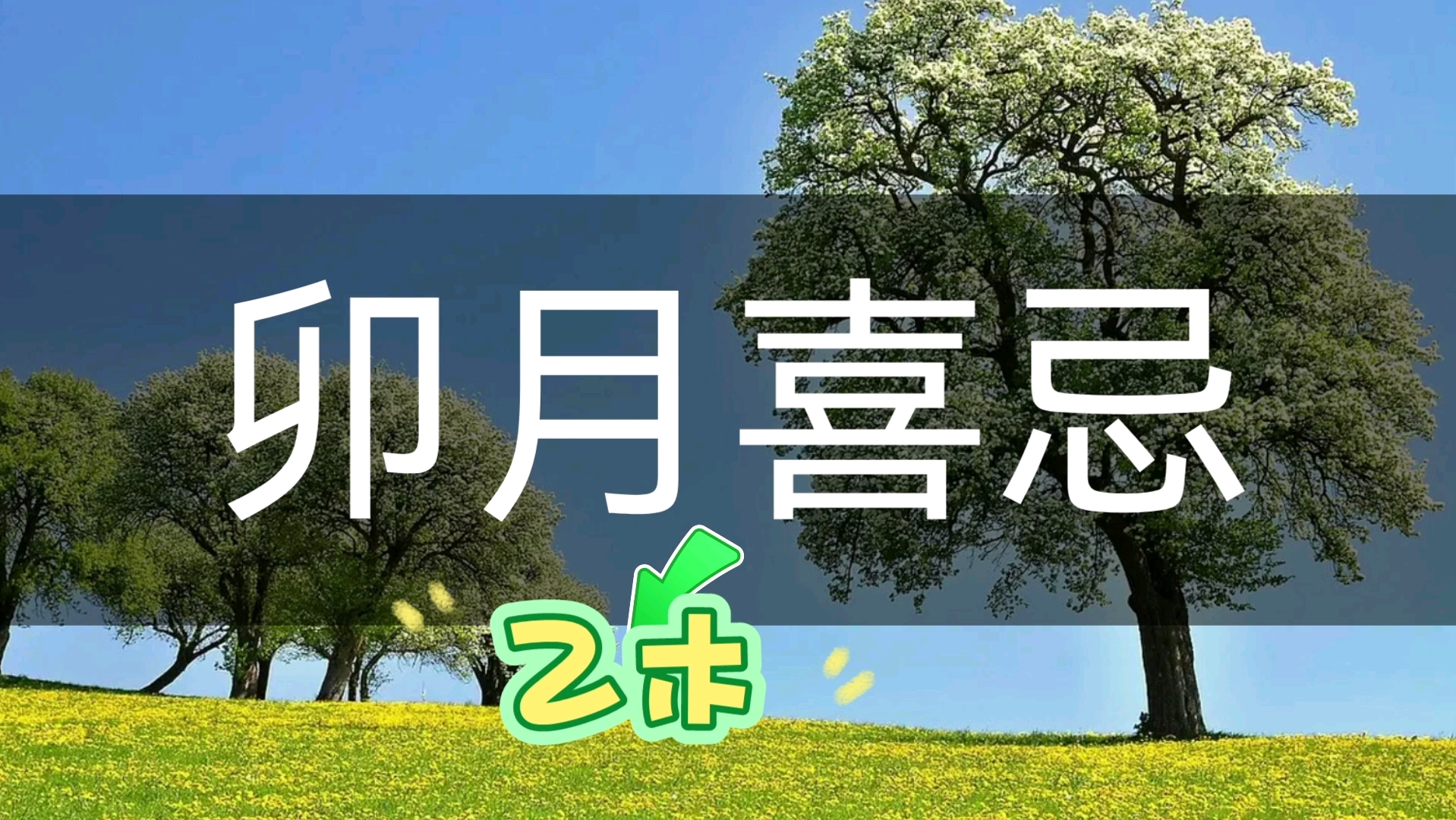 [图]二月春分，春暖花开