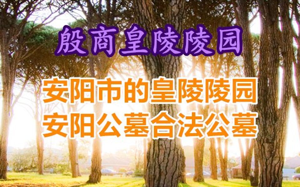 殷商皇陵陵园图片