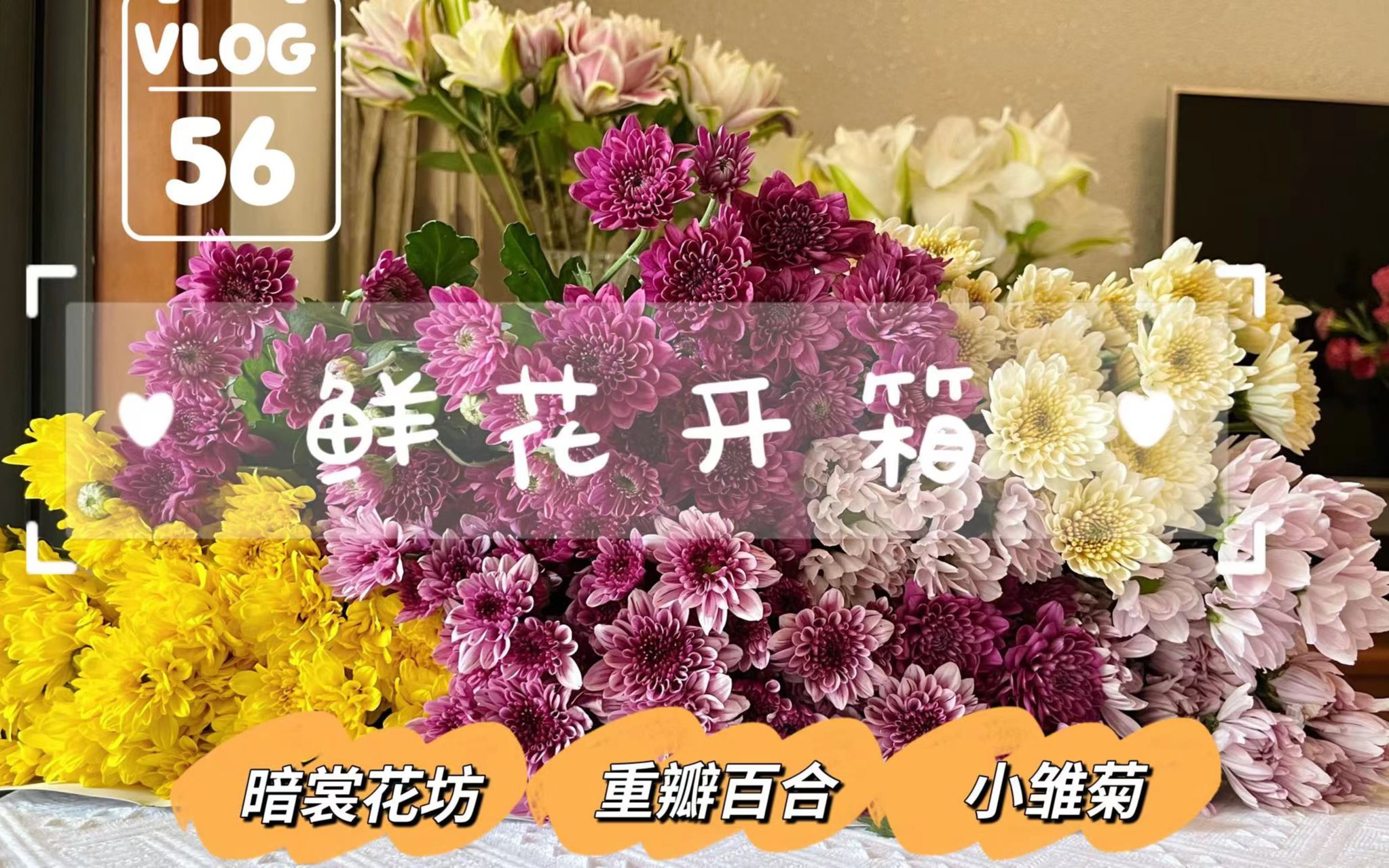 网购鲜花|夏天超长待机小菊&百合开箱理花哔哩哔哩bilibili