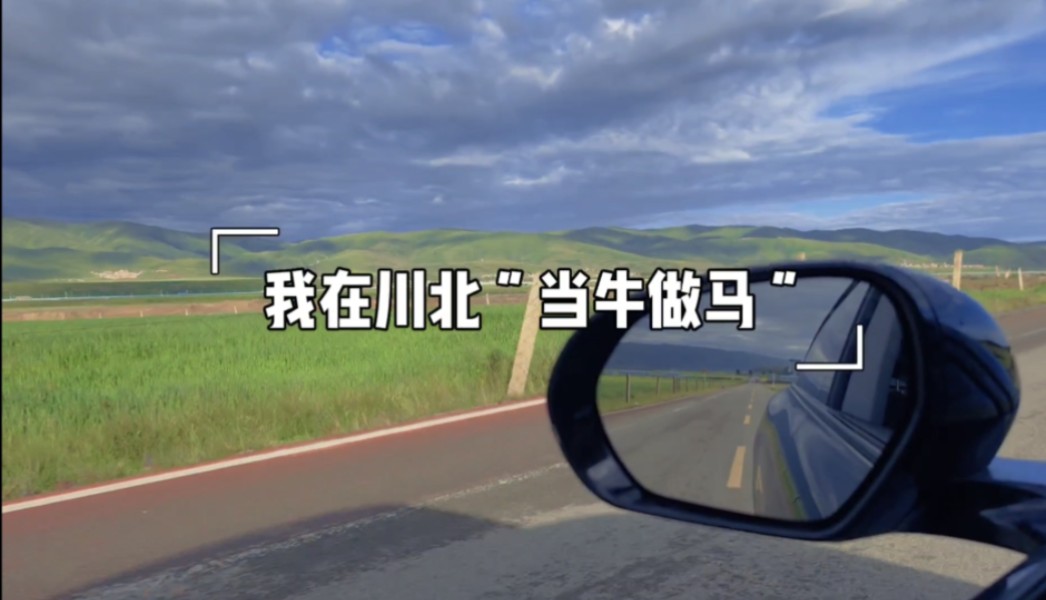 【我在川北当牛做马】川北环线五天自驾1500公里,“当牛做马”,真正感受风和自由.哔哩哔哩bilibili