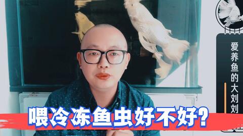 搜索 哔哩哔哩 つロ干杯 Bilibili