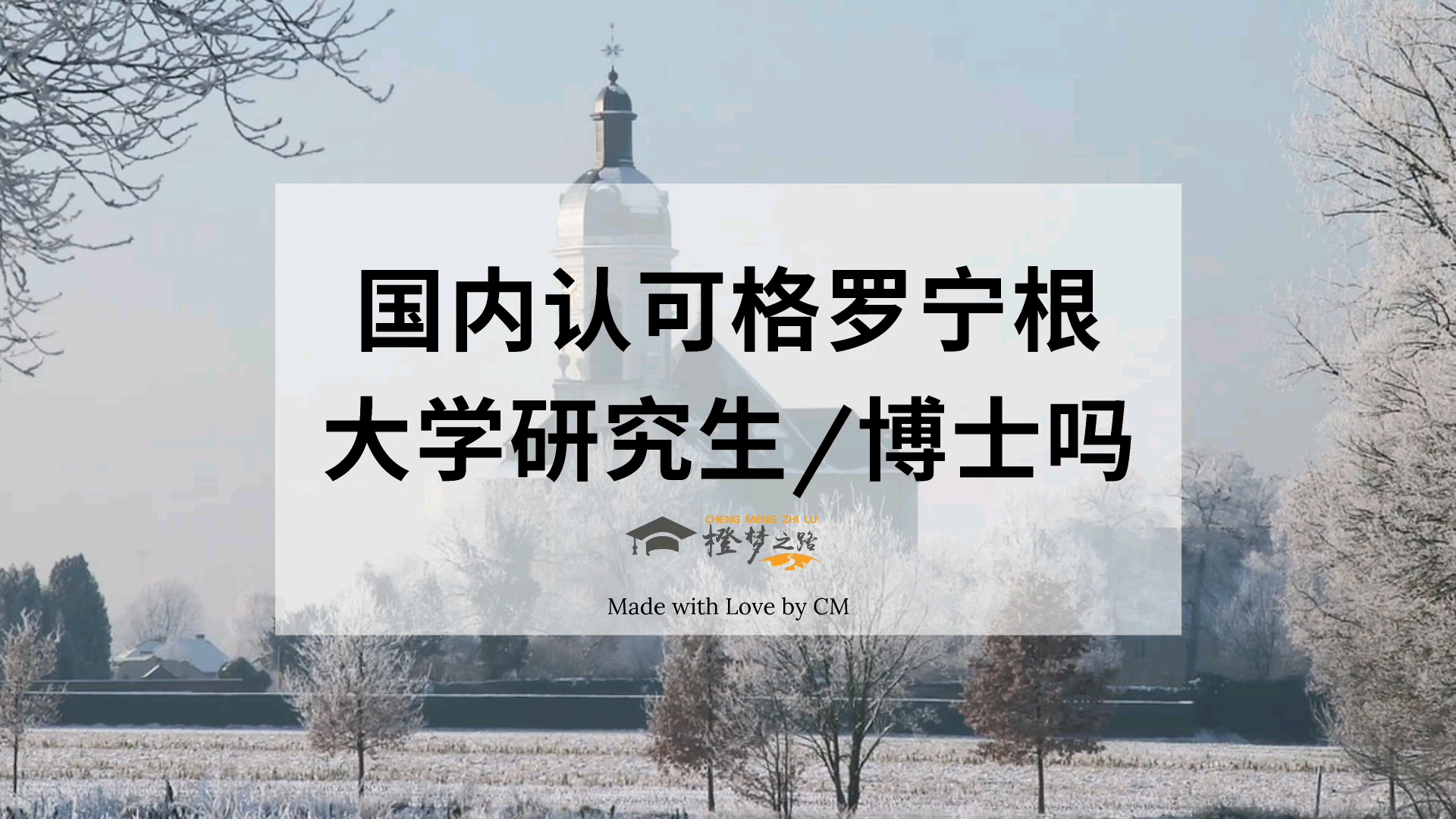 国内认可格罗宁根大学研究生/博士吗?哔哩哔哩bilibili