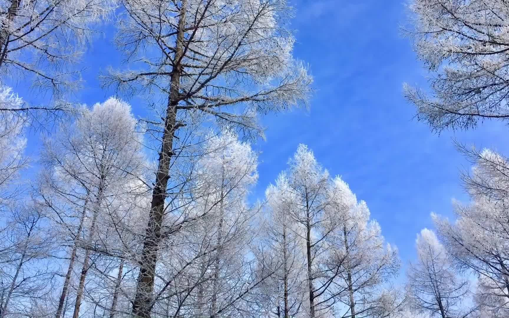 [图]雪乡的山林美景【中国.牡丹江】