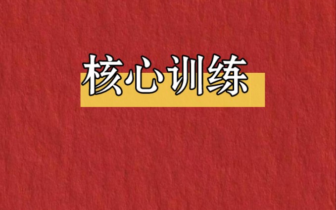 【运动康复核心训练哔哩哔哩bilibili