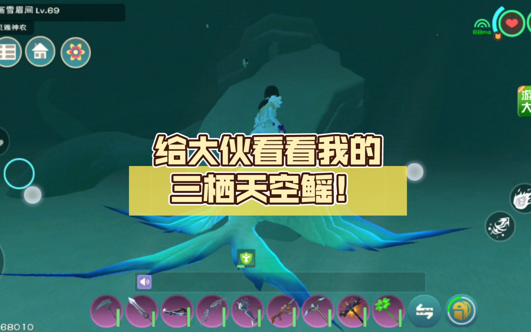 给大伙看看我的三栖天空鳐!