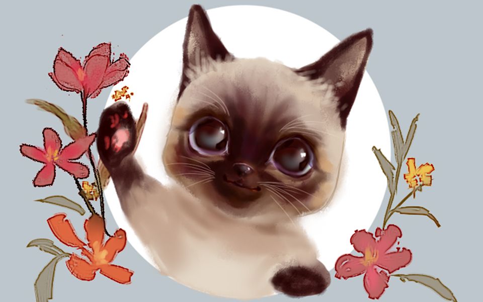 【sai2/板绘】一只可爱暹罗猫的厚涂过程