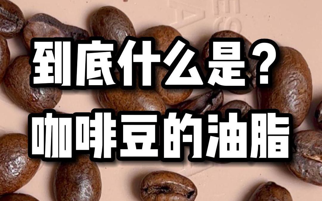 怎么判断哪个咖啡豆的油脂更多?哔哩哔哩bilibili