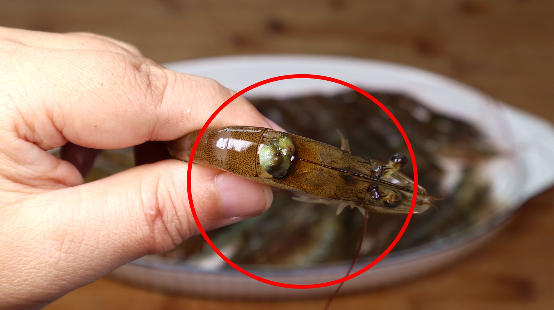 虾头究竟能不能吃?是"屎"还是"黄",很多人一直都还不懂