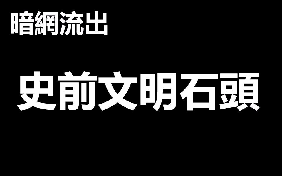 暗网流出 有3亿年历史可能是史前文明的奇怪石头 @奇奇怪怪都市传说哔哩哔哩bilibili