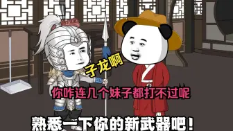 子龙啊！你咋连几个妹子都打不过呢