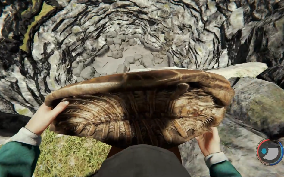 迷失森林万能的龟壳跳天坑