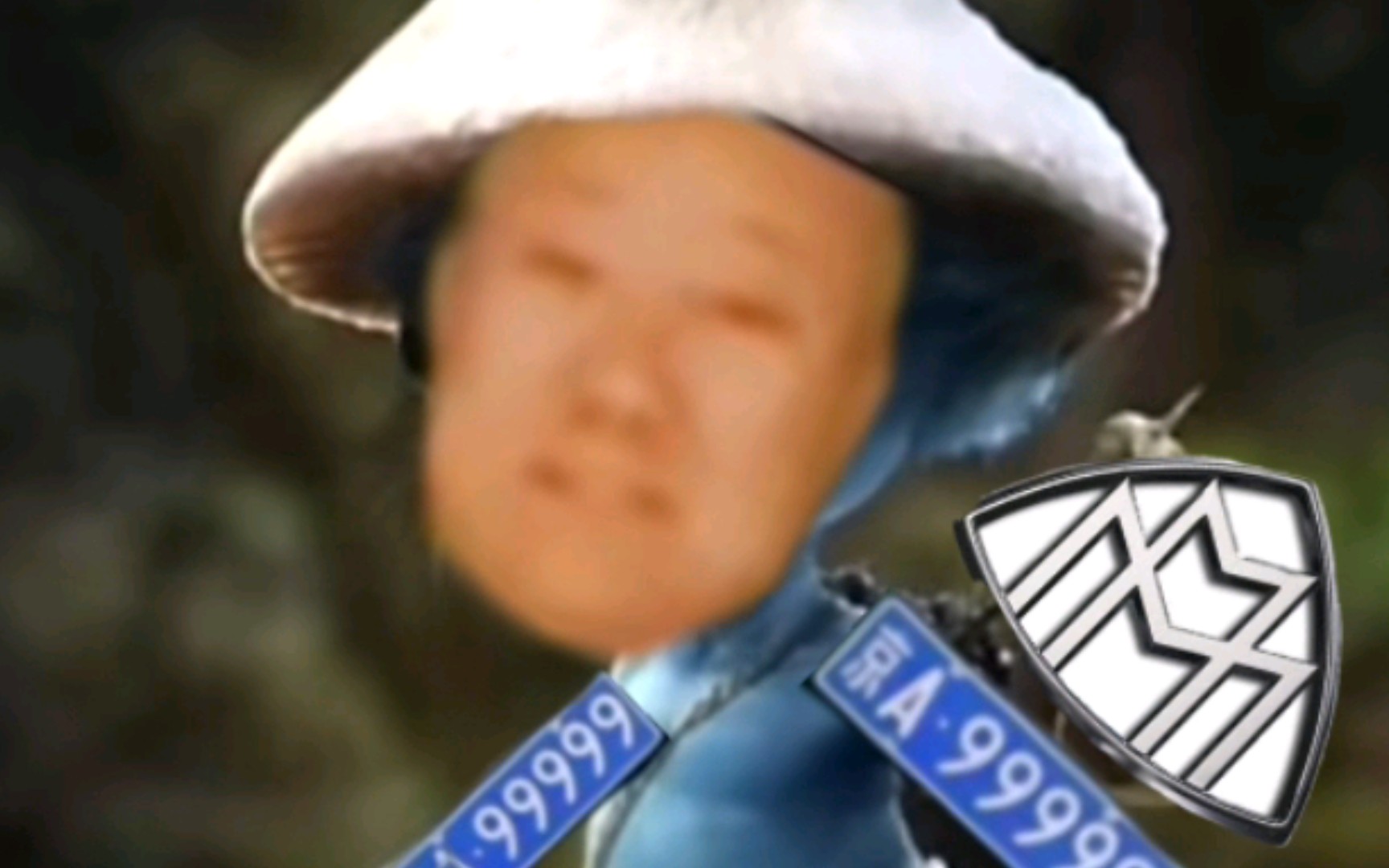 我们活,我们躺,我们爱,但是京a99999