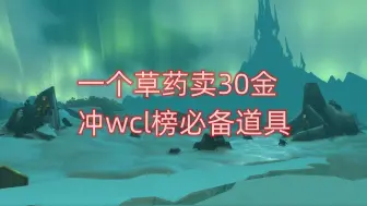 Download Video: 魔兽世界一个草药卖30金，冲wcl榜必备道具