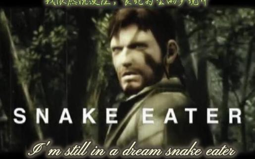 [图]【合金装备3食蛇者主题歌】snake eater--游戏音乐收集计划