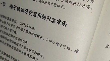 v放廣告幸福感v個