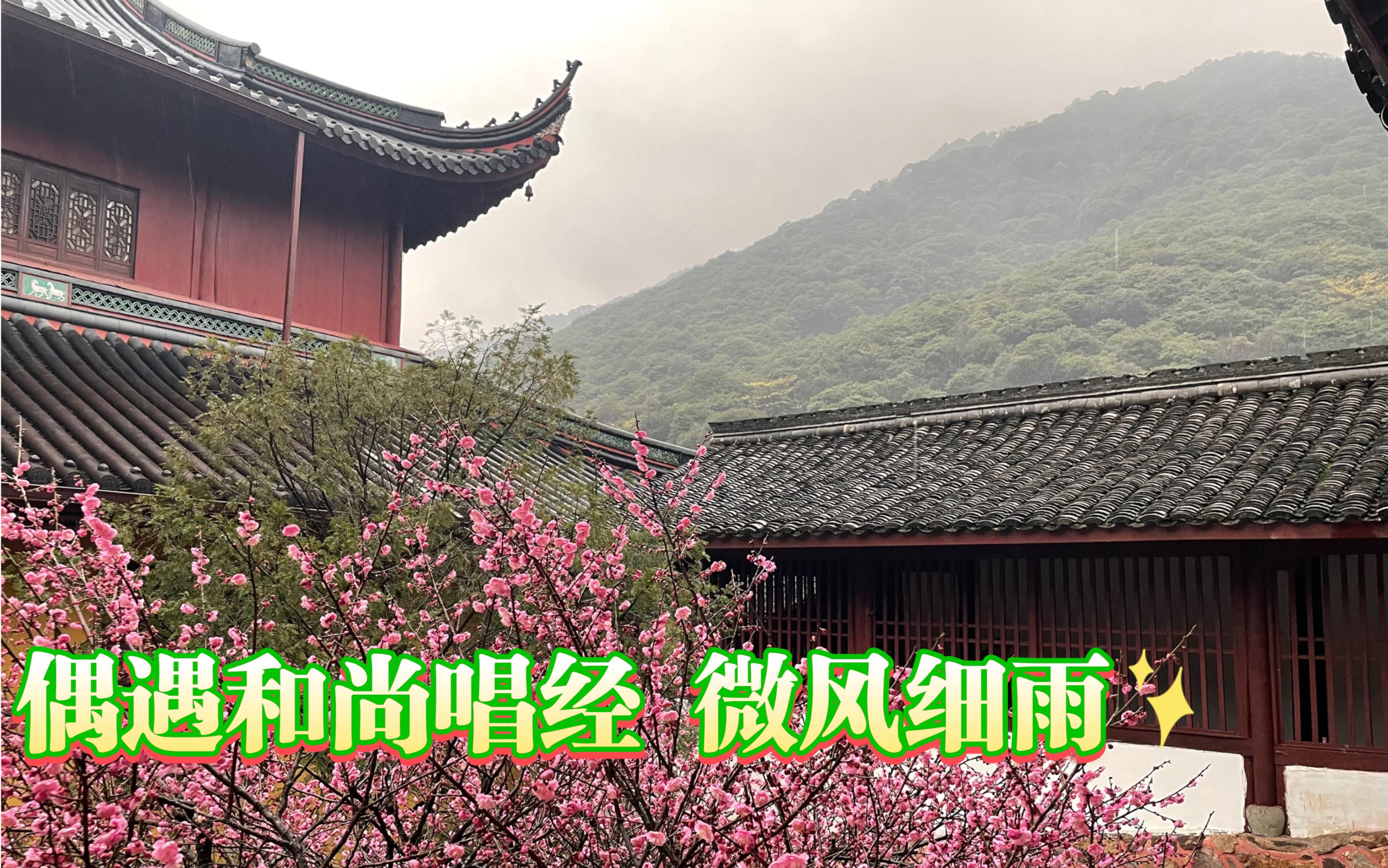 [图]见着随喜。最近去寺庙参观，总是碰到尚念经，随手在门口录了一段～配上小雨～随喜了（听说是华严经）【一人一狗的漂流】sp