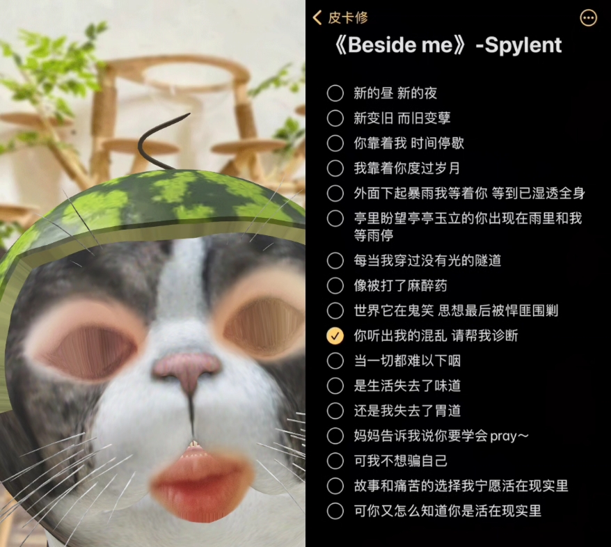 [图]beside me -spylent