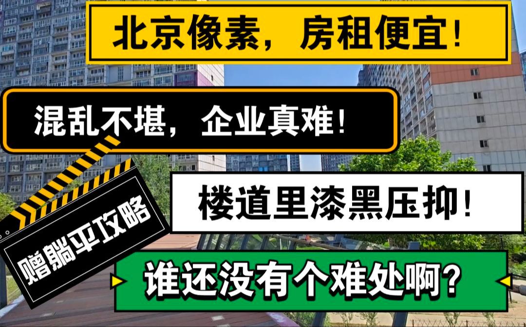 北京像素,房租便宜,企业真难,楼道里漆黑压抑,谁还没个难处!哔哩哔哩bilibili