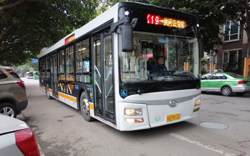 【星梦pov-68】【ckg48三周年纪念作】成都公交k19路 凤凰公交站