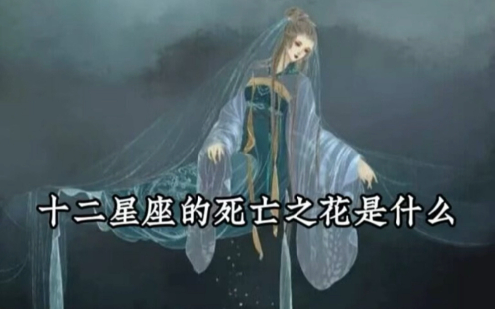 十二星座的死亡之花是什么 每日情感语录