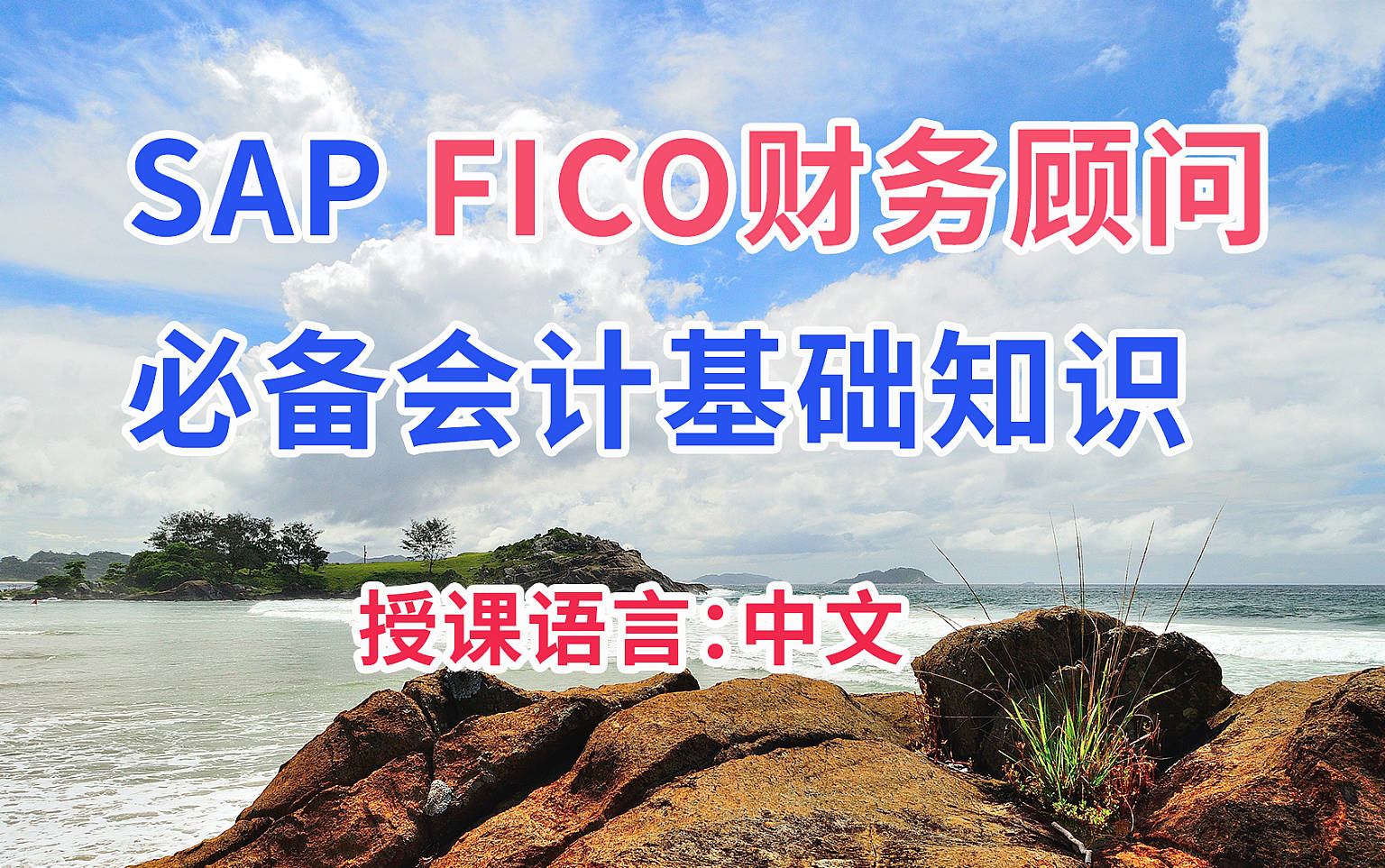 SAP FICO财务顾问必备财务基础知识 FICO新手入门会计基础知识哔哩哔哩bilibili