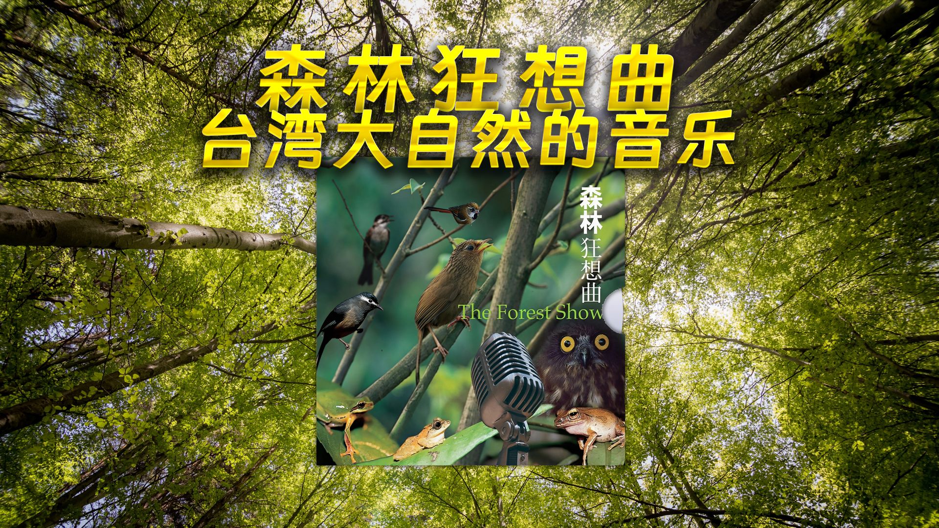 森林狂想曲--台湾大自然的音乐