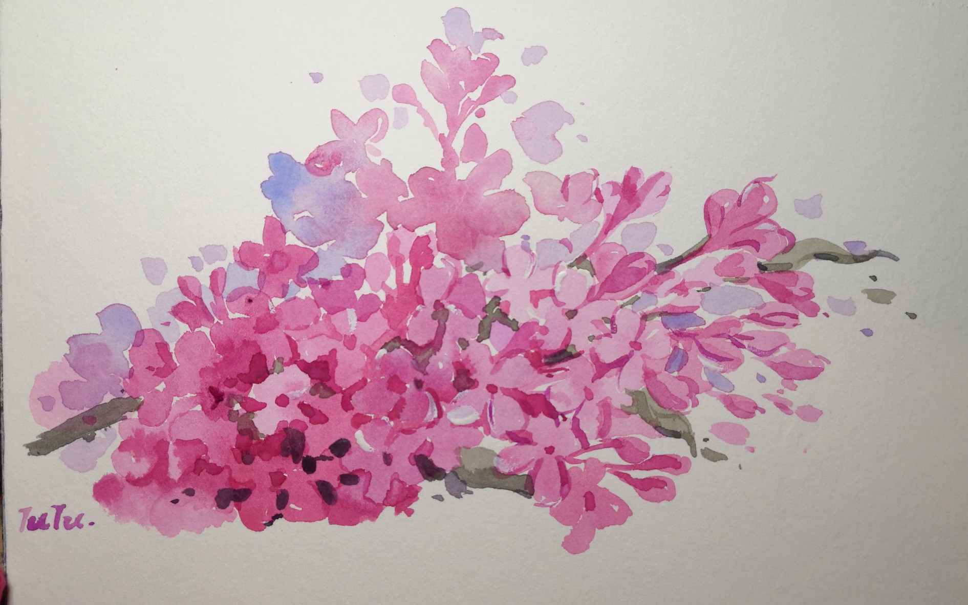 【水彩】不用起稿的随心所欲丁香花_哔哩哔哩 (゜-゜)つロ 干杯~-bili