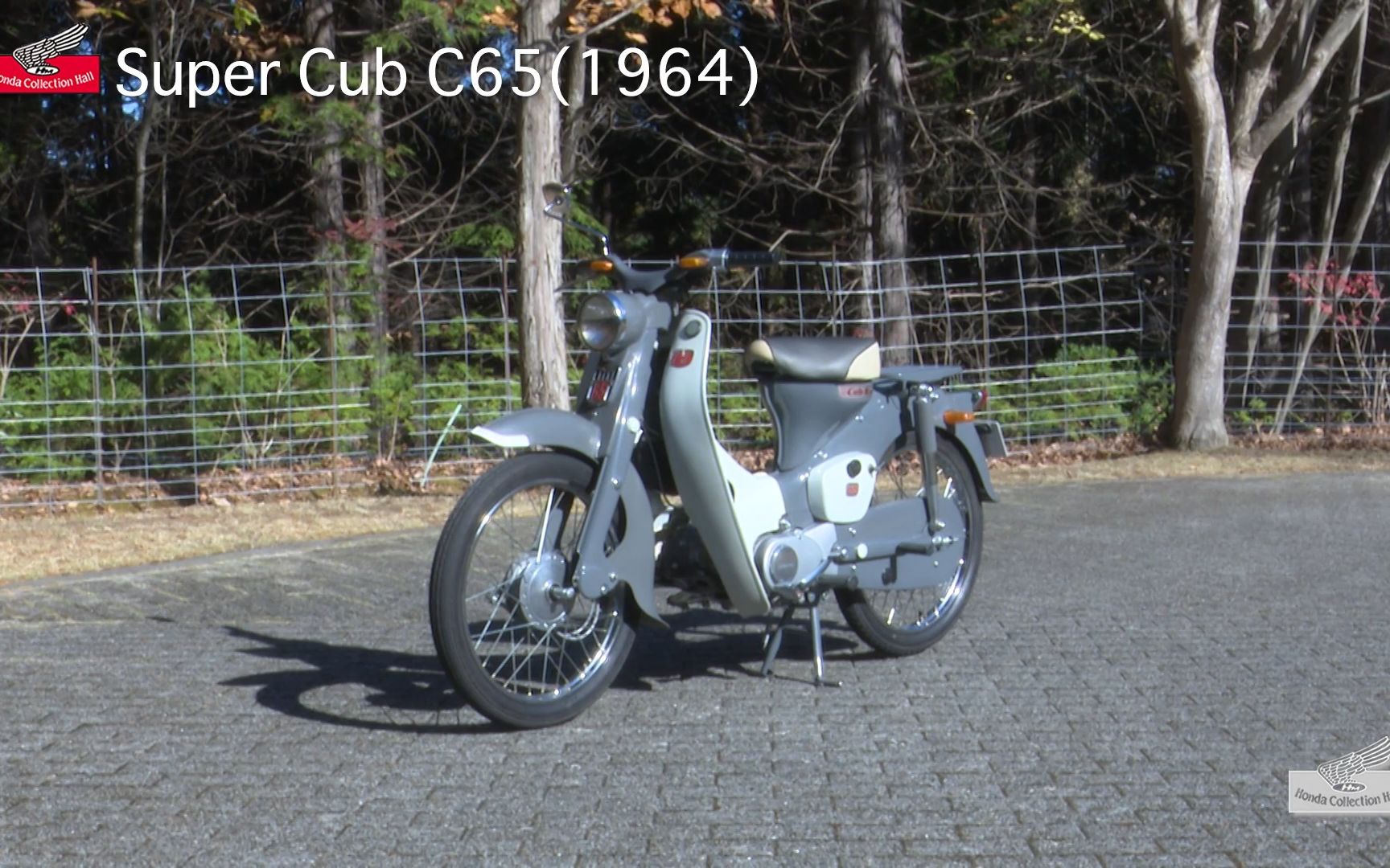 本田超级幼兽(SUPER CUB) C65(1964年)哔哩哔哩bilibili