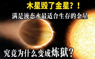 金星人与木星人 搜索结果 哔哩哔哩 Bilibili
